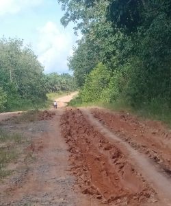 Gelap Tanpa Penerangan,Jalan Banyak Berlumpur,Dinas PUPR Mesuji Mohon Penanganan nya